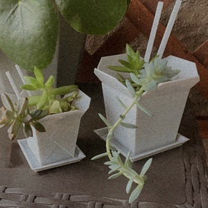 Take Out Box Succulent Planter | Multiple Sizes Available | 3D Printed PLA Sustainable Bioplastic | Perfect for Houseplants