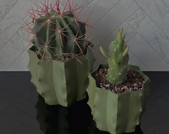 Cactus Shape Planter | Unique Plant Pots | 3D Printed Planters | Cactus Pot | Cute Home Decor | Succulent Planters