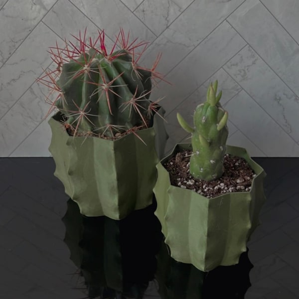 Cactus Shape Planter | Unique Plant Pots | 3D Printed Planters | Cactus Pot | Cute Home Decor | Succulent Planters