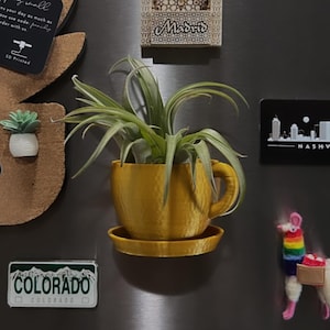 May include: A yellow ceramic cup with a saucer, holding a green air plant. The cup and saucer are 3D printed and are attached to a metal surface with magnets. The air plant is a type of bromeliad that does not need soil to grow.