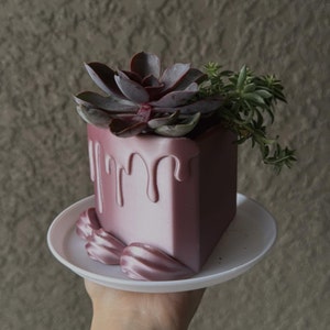 Puede incluir: Una maceta cuadrada de color malva con un diseño de goteo, que contiene una planta suculenta con hojas de color púrpura oscuro y ramitas verdes. La maceta se encuentra sobre un plato blanco, creando una exhibición decorativa moderna.