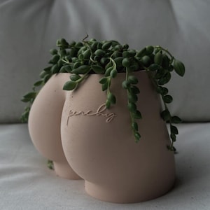 Maceta con tatuaje de melocotón / Decoración moderna de bioplástico impresa en 3D / Decoración neutra