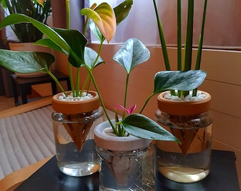 3D Printed Propagation Cone | PLA Plastic Avocado Seed Holder