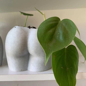 Peachy Butt Planter | Sustainable Bioplastic Body Planter