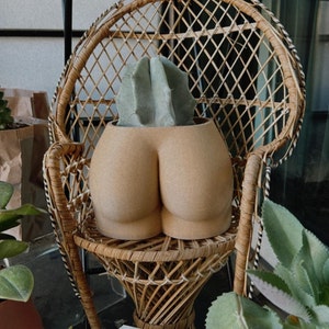 5 Inch Cheeky | Butt Planter | Modern 3D Printed