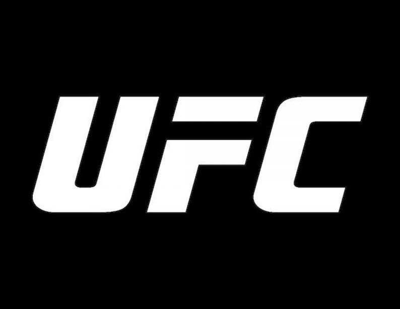 UFC Ultimate Fighting Championship MMA Stencil Etsy