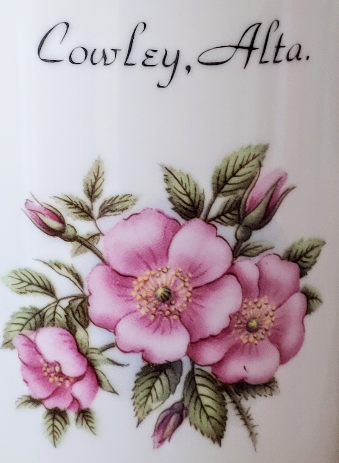 PAIR VINTAGE CANADIAN Coffee Mugs Fortis Et Liber Cowley Etsy