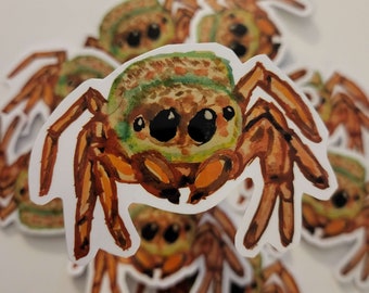 Watercolor Jumping Spider Sticker