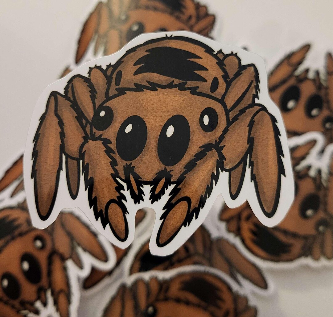 Jumping Spider Sticker - Etsy