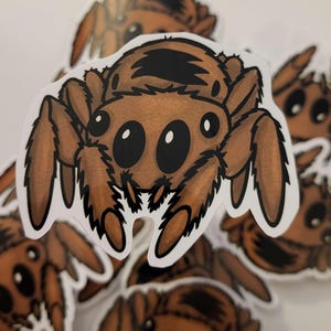 Jumping Spider Sticker