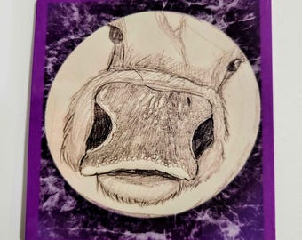 Baby Highland Cow Nose Sticker