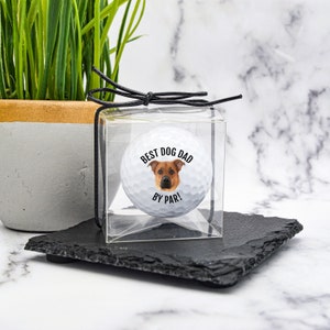 Benutzerdefinierte Golfbälle, Papa Golfball, Hundegesicht Golfbälle, individuelles Hundegeschenk, bester Hundevater, bester Vater nach Par, Golfgeschenk, Dod Dad durch Par, Vatertag Bild 3