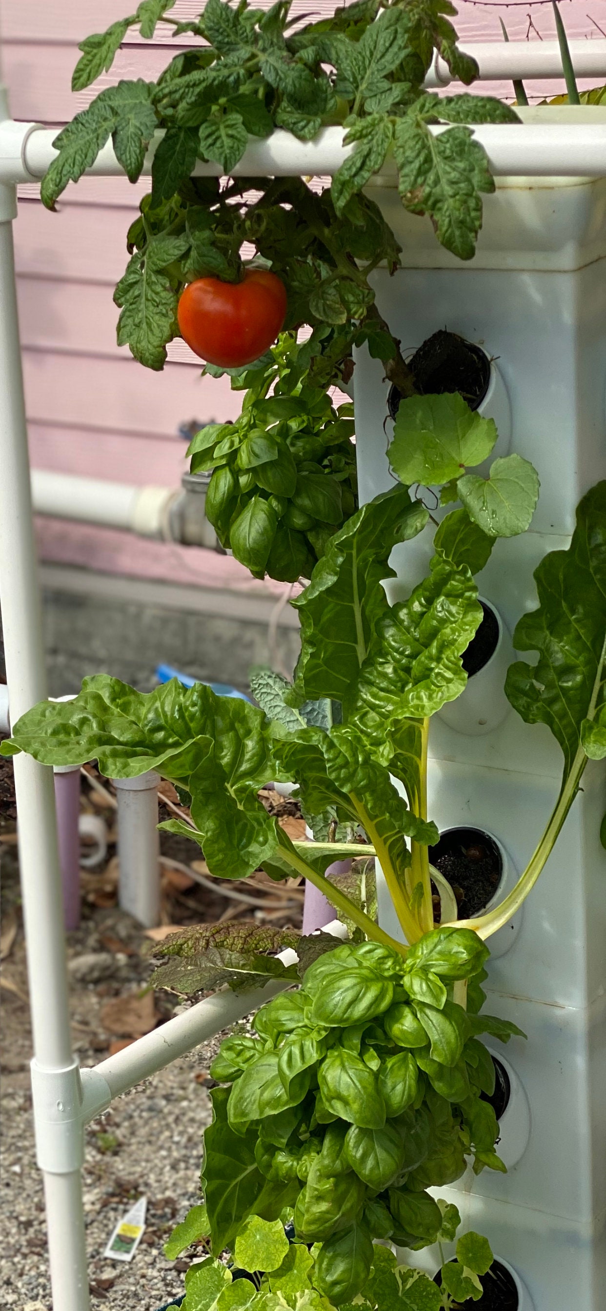 Vertical Hydroponic Garden Tower System Indoor Outdoor Home Etsy