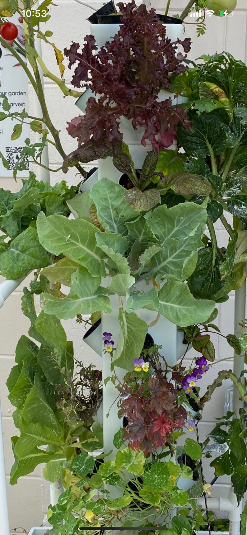 Vertical Hydroponic Garden Tower System Indoor Outdoor Home Etsy