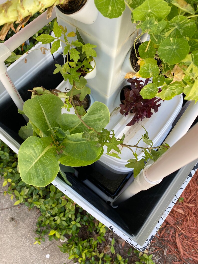 Vertical Hydroponic Garden Tower System Indoor Outdoor Home Etsy