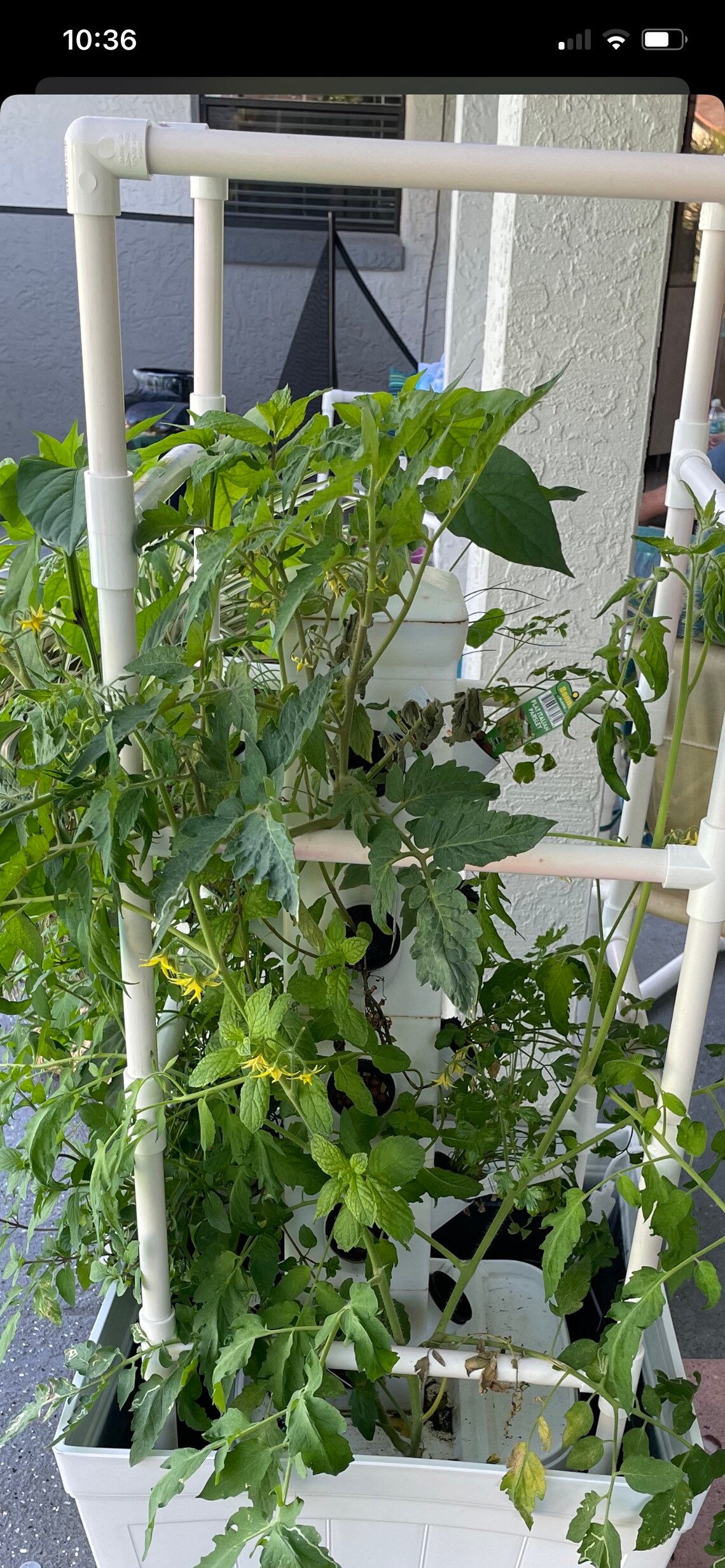 Vertical Hydroponic Garden Tower System Indoor Outdoor Home Etsy