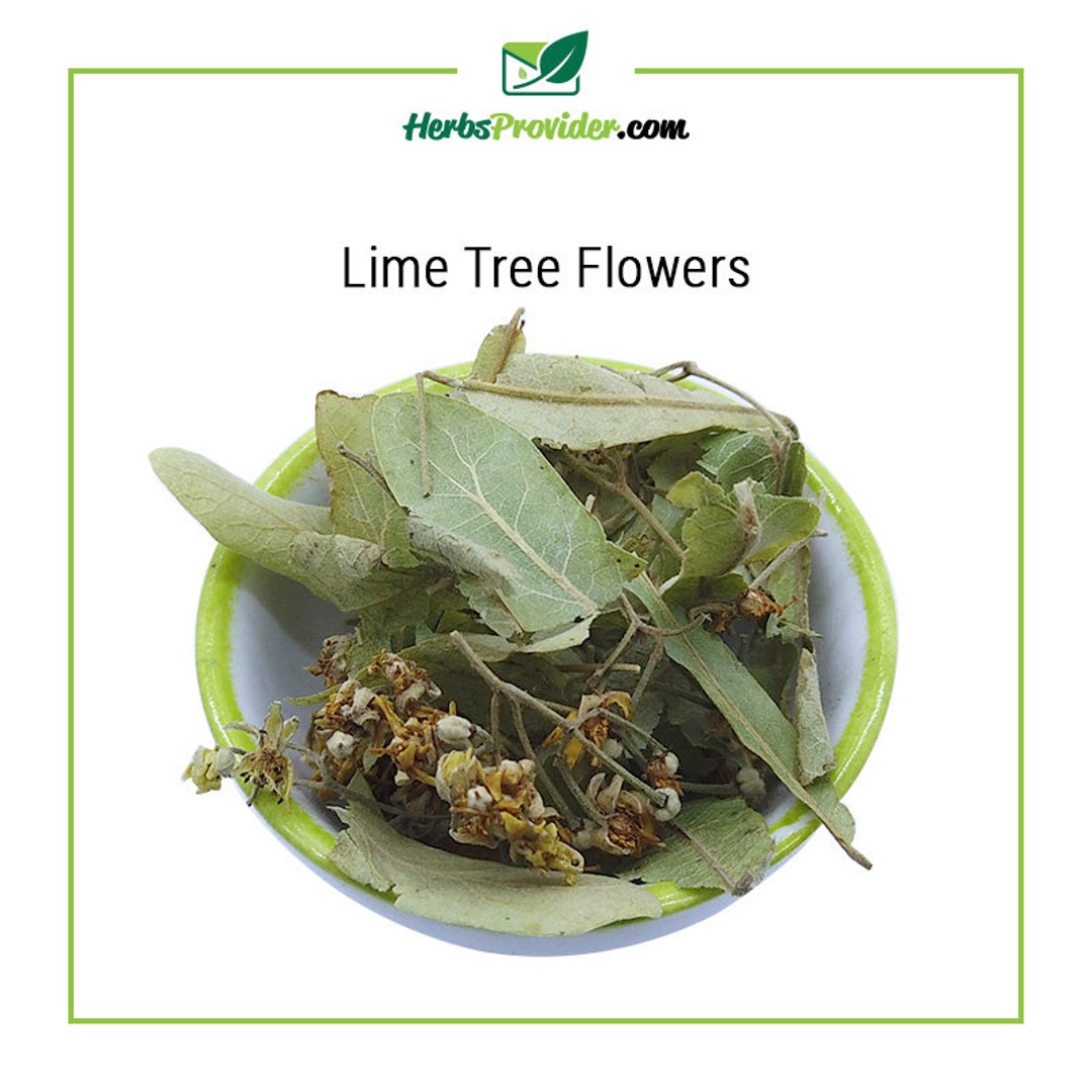 LIME TREE Flower 1lb454g Bulk Organic Herbs Etsy