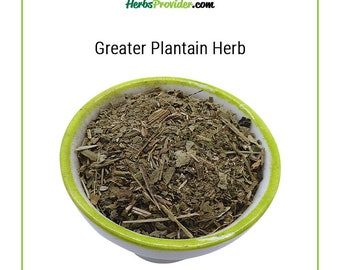 GREATER PLANTAIN Herb - 4lb(1814g) | Bulk Organic Herbs