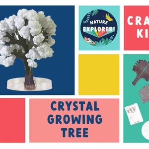 White Crystal Growing Tree Kit, Crystal Growing Kit | Art Projects For Kids | Kid Projects, Art Kit For Kid, Kid Art Kit