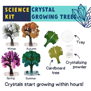 Grow Your Own Crystal Tree Craft Kit, Green, Orange, Pink, Or White | Kids Stocking Stuffers | Gift From Santa, Kids Christmas Present