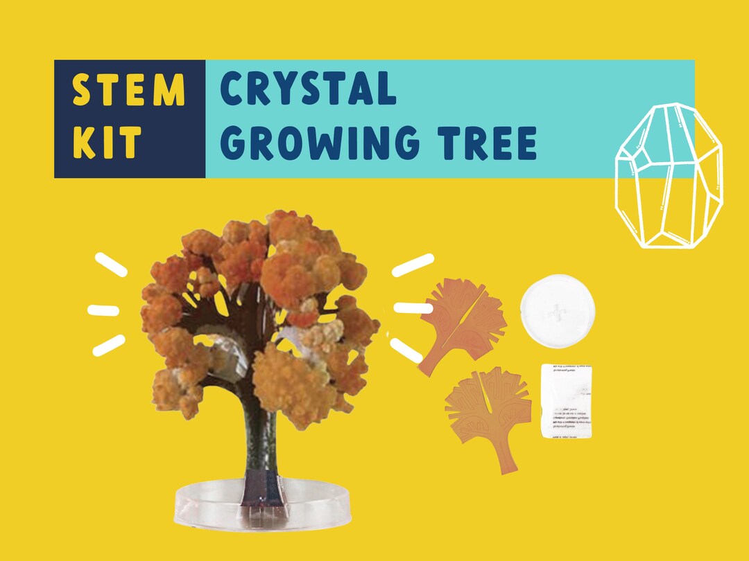 Stem Classroom Stem Kits for Kids Stem Projects for Kids Etsy