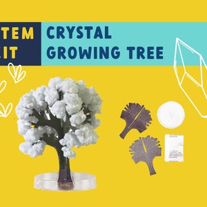 May include: A STEM kit for a Crystal Growing Tree. The kit includes a tree trunk, base, and paper tree cutouts. The tree is covered in white crystals. The background is yellow with white text and graphics.