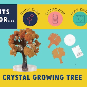 Unique Crystal Growing Tree Kit - Unleash the Magic of Science on a Rainy Day