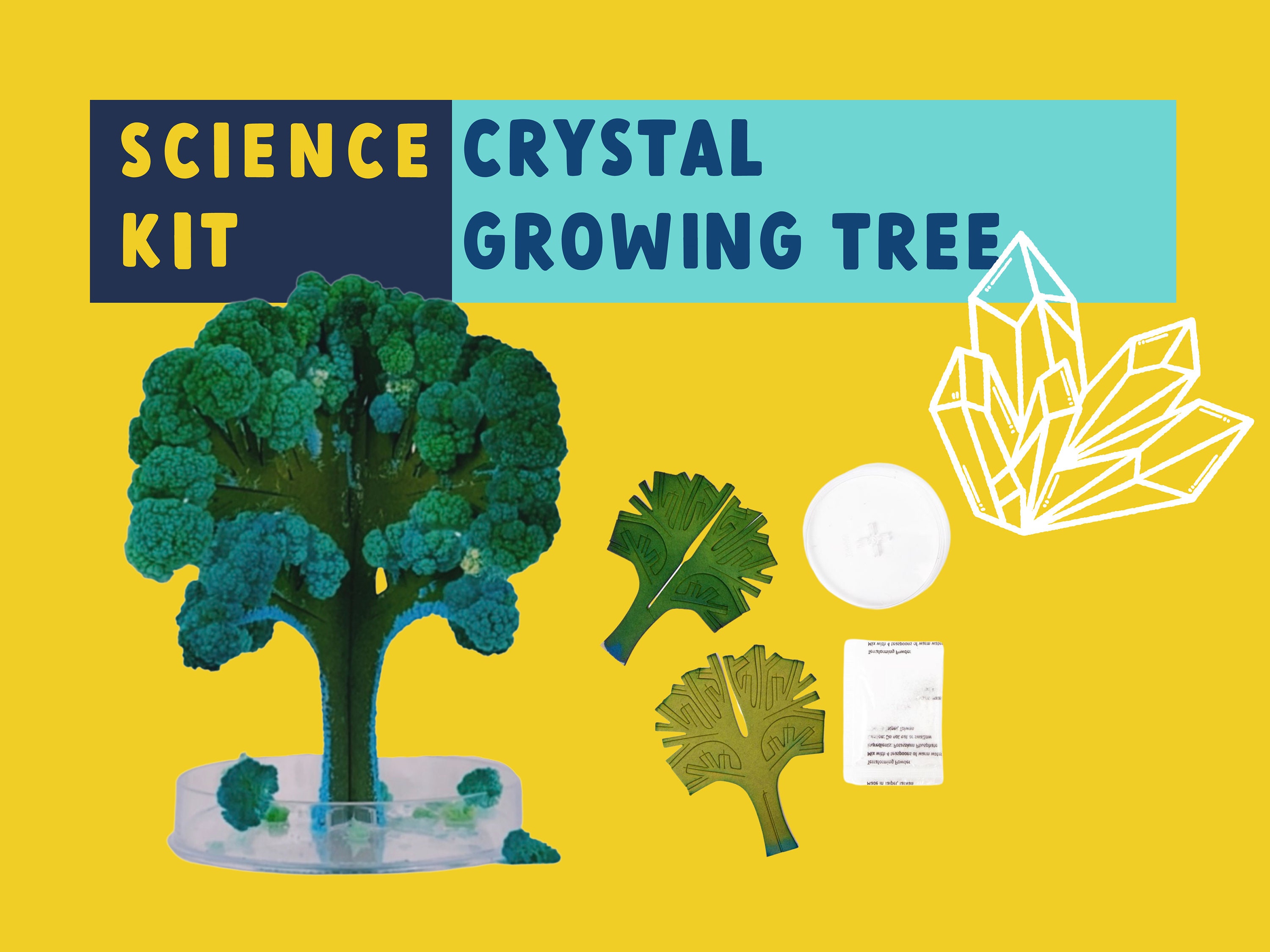 Crystal Growing Classroom Kit – Arbor Scientific