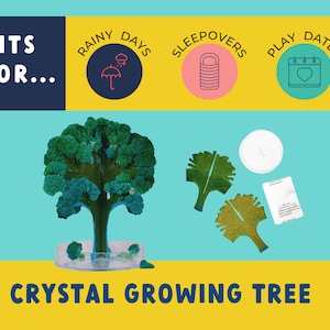Unique Crystal Growing Tree Activity Kit for Kids - Rainy Day Fun