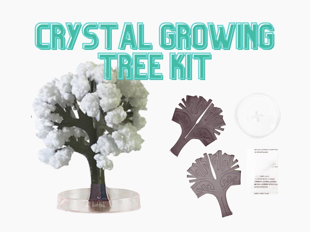Crystal Growing Tree Kit, Crystal Growing Kit | Kids Nature Craft Gift ...
