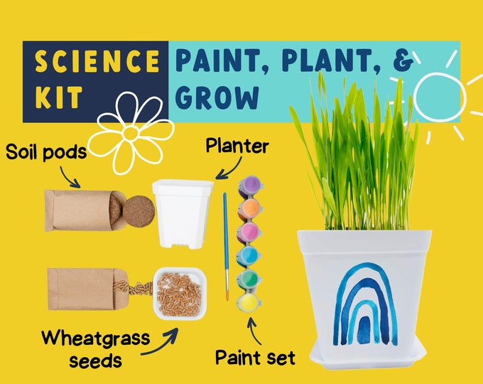 Kids Plant Kit, Wheatgrass Seeds, Soil Pods, Paint And Planter Kit | Science Gifts For Kids | Science Craft For Kid, Stem Toy And Stem Kit