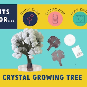 Bring the magic of science to life on a rainy day with this unique crystal growing tree kit