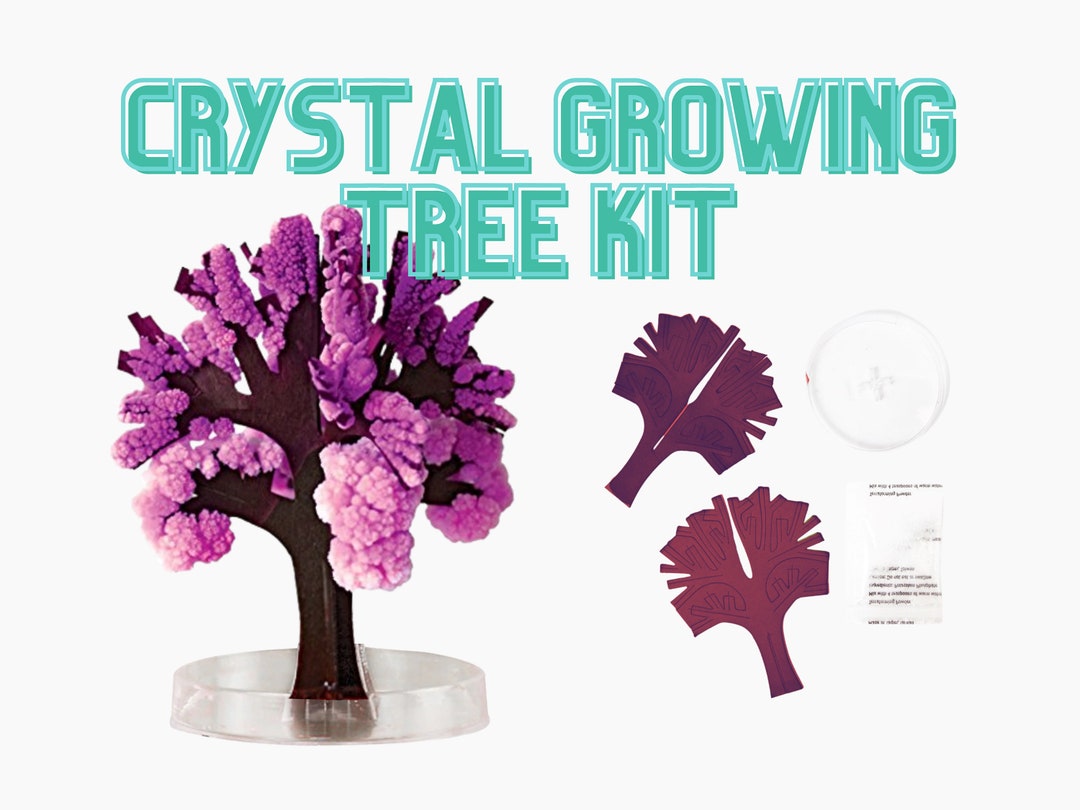 Crystal Growing Tree Kit, Crystal Growing Kit | Kids Nature Craft Gift ...