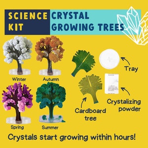 Pink, Green, White, Orange Crystal Growing Tree Kit | Science Gifts For Kids | Gift For Kid, Science Crafts For Kids, Stem Toy And Stem Kit