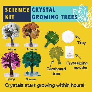 Grow Your Own Crystal Tree Kit – Science Gift for Kids | STEM Craft Kit | Christmas Stocking Stuffer | Gift for Girl or Boy Age 6 7 8