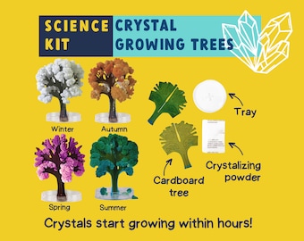 Grow Your Own Crystal Tree Kit – Science Gift for Kids | STEM Craft Kit | Christmas Stocking Stuffer | Gift for Girl or Boy Age 6 7 8