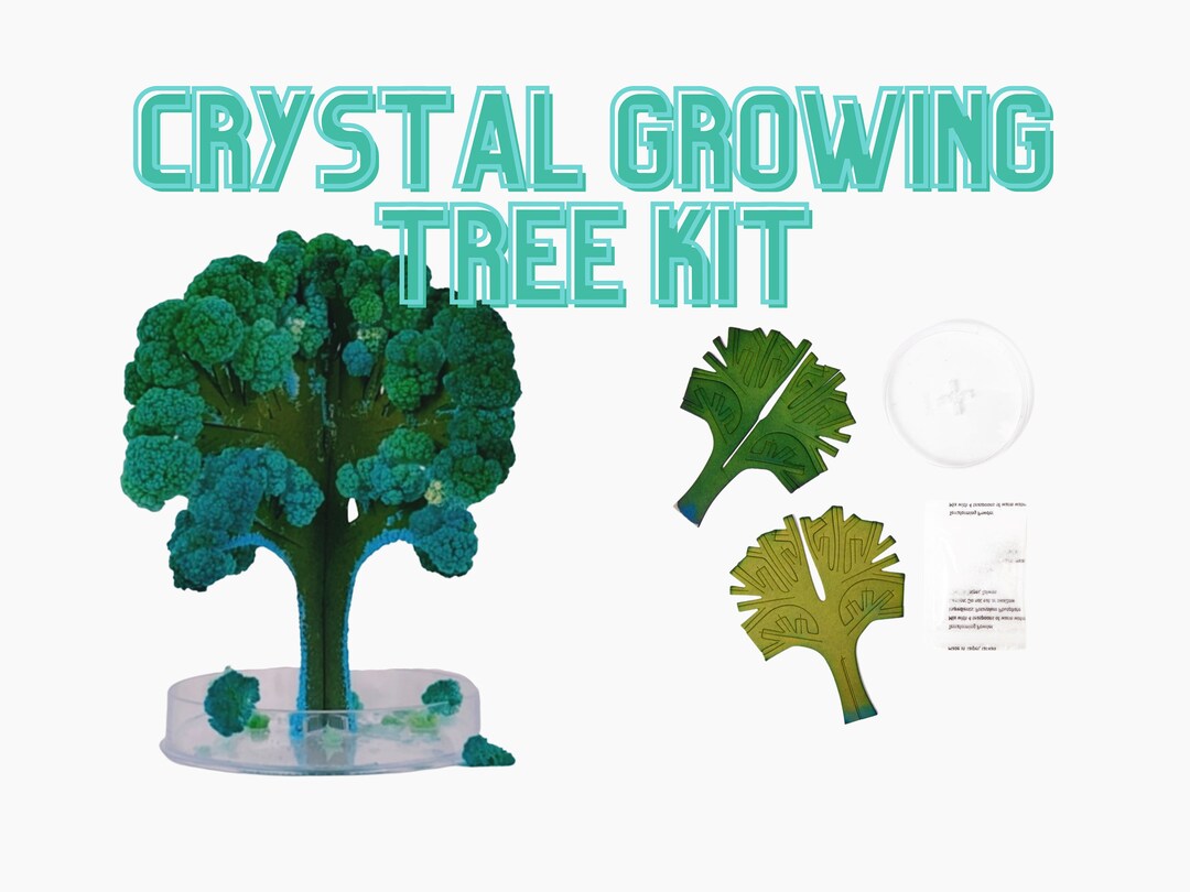 Crystal Growing Tree Kit: Kids STEM Nature Craft Gift - Etsy