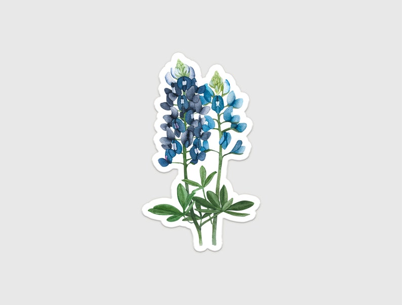 Autocollant en vinyle Bluebonnets aquarelle Autocollant de fleur d'état du Texas Autocollant aquarelle du sud Art des fleurs sauvages du Texas image 1