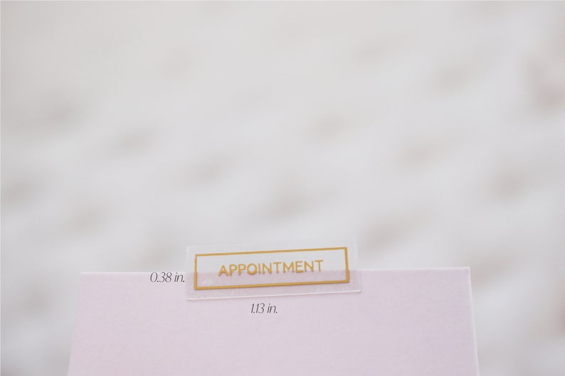 以下が含まれることがあります： 金色の縁取りと「APPOINTMENT」という文字が金色で印刷された透明なプラスチック製のタブ。タブの幅は2.87 cm、高さは0.97 cmです。
