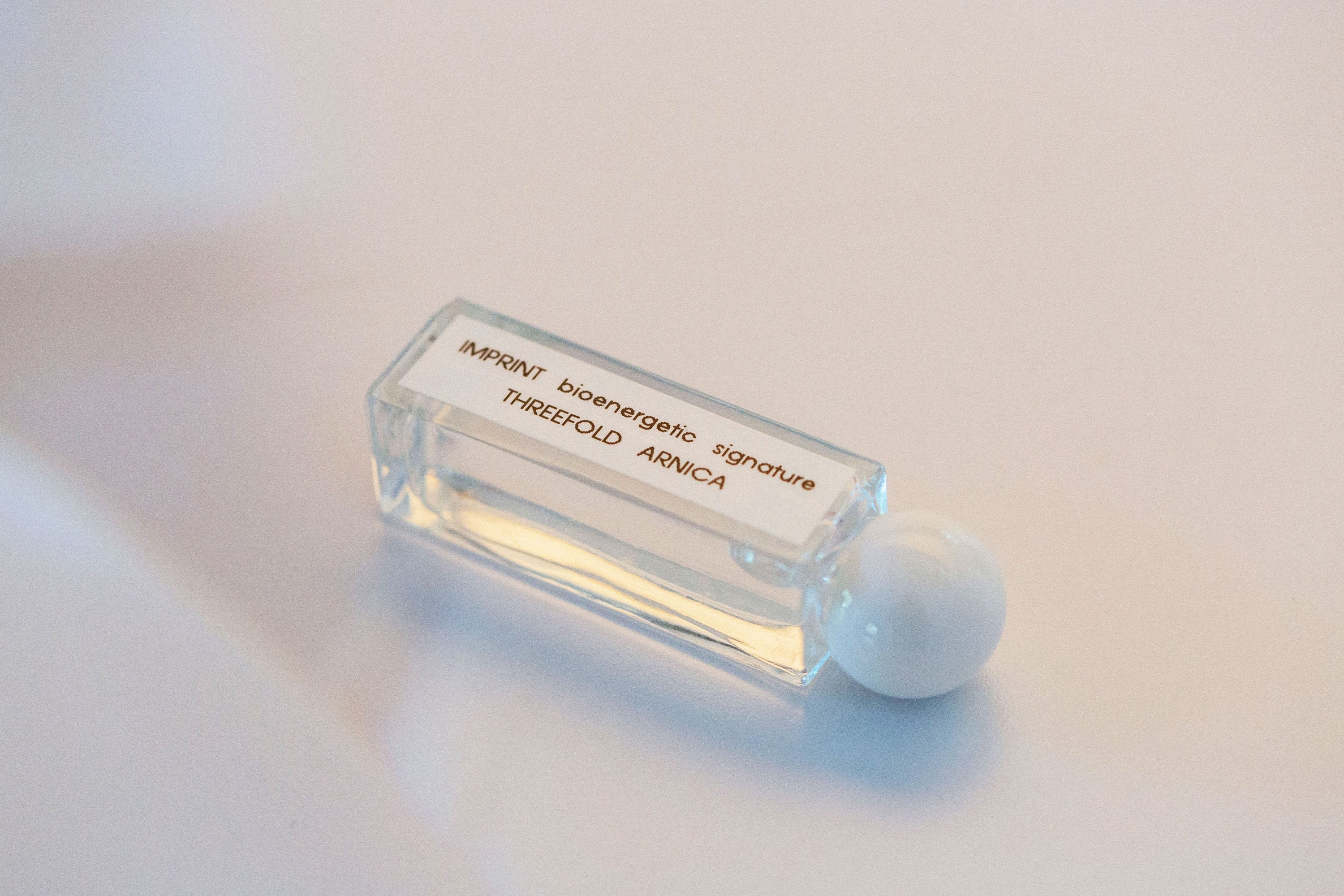 Arnica Homeopathic Remedy Arnica Montana Mountain Daisy Etsy France