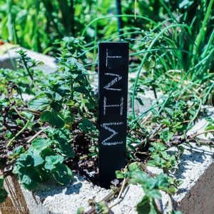 May include: A black plant marker with the word "Mint" written on it in white chalk. The marker is stuck in the ground next to a patch of green mint plants.