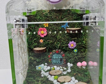 Jumping Spider Coffin House W/ magnetic Roof, Enclosure/ Terrarium, Mushroom Forest, Fairy Door Decor