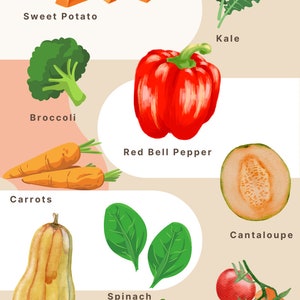 Vitamin and Mineral Resource