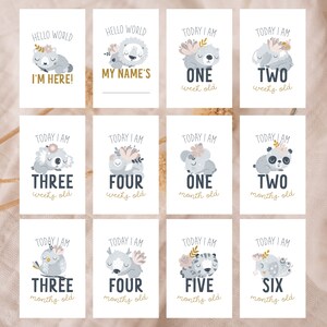 May include: A set of twelve baby milestone cards with animal illustrations and floral accents. The cards feature text such as "Hello World," "I'm Here," and numbers indicating weeks and months. The cards are rectangular and have a soft, neutral color palette.