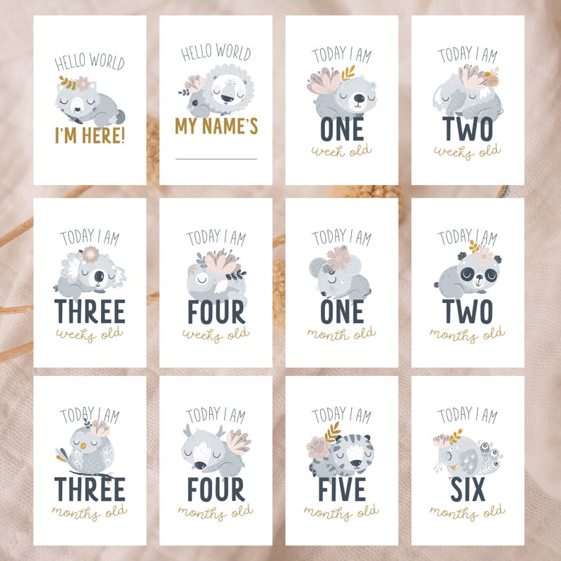 May include: A set of twelve baby milestone cards with animal illustrations and floral accents. The cards feature text such as "Hello World," "I'm Here," and numbers indicating weeks and months. The cards are rectangular and have a soft, neutral color palette.