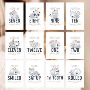 May include: Set of twelve baby milestone cards. Each card features a cute animal illustration with text indicating the baby's age or milestone. The cards include months, years, and first achievements like smiling and rolling.