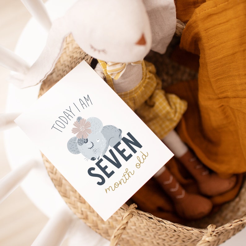May include: A baby milestone card with the text "TODAY I AM SEVEN month old" and a cartoon mouse illustration. The card is in a woven basket with a stuffed bunny and a doll in a yellow dress.