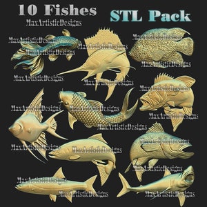 Buy 3d Fish Print Online In India -  India