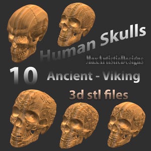 Puede incluir: Una colección de diez modelos de cráneos humanos de color marrón claro, con intrincados diseños y temática vikinga antigua. El texto "Human Skulls", "Ancient - Viking" y "3d stl files" es visible.