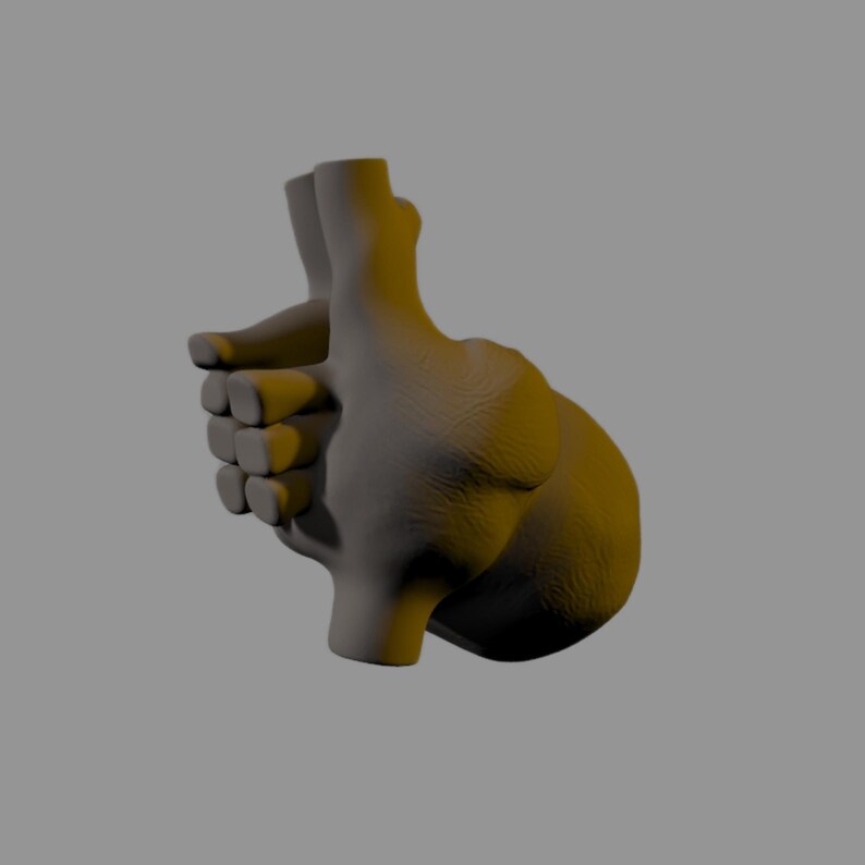 4 Human Heart 3d Stl Files Body Anatomy for 3d Printers - Download ...